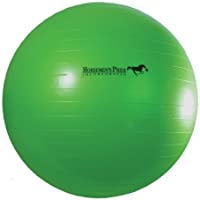 Los mejores  - Horsemen Pride - Pelota grande Jolly para caballo (102 cm) (Verde)